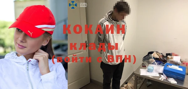 твердый Бородино