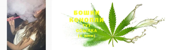 ПСИЛОЦИБИНОВЫЕ ГРИБЫ Бугульма
