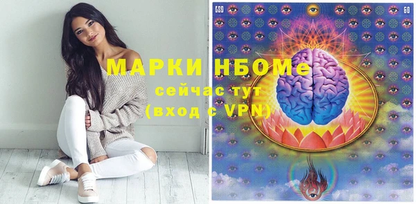твердый Бородино