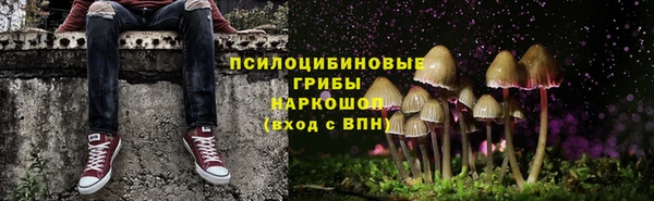 ПСИЛОЦИБИНОВЫЕ ГРИБЫ Бугульма