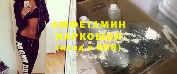 твердый Бородино