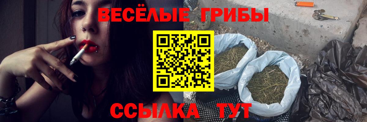 Галлюциногенные грибы Psilocybine cubensis Верхний Уфалей